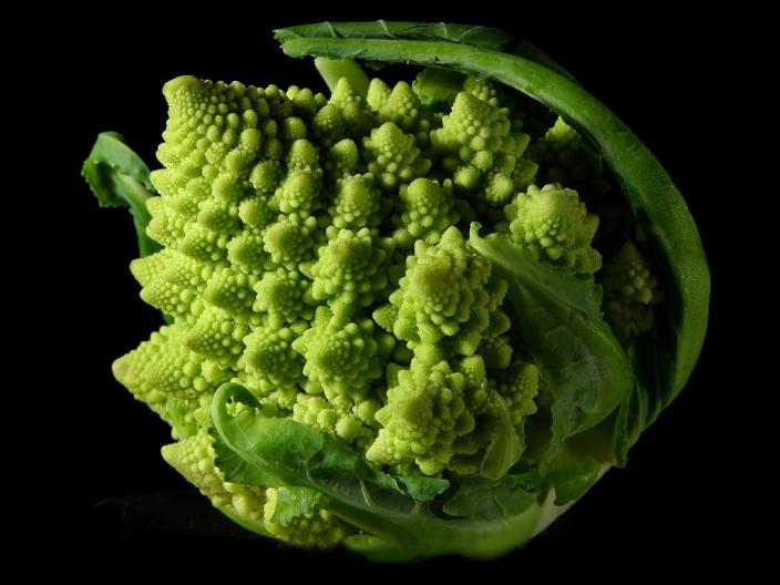 fractal-02.jpg