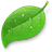  Coda 